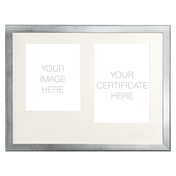 Silver Finish Combination Frame